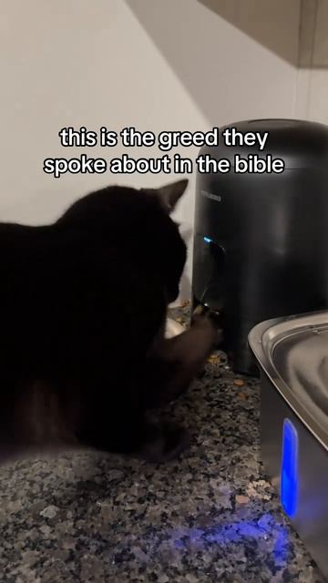 Ему нужно все