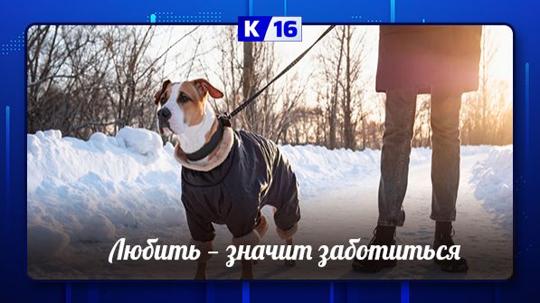 Любить -значит заботиться смотреть онлайн