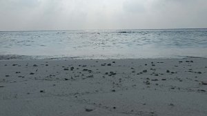 Море и крабы, следующий день, Камаду, Мальдивы, январь 2026 (Sea and crabs, Next Day, Kamadhoo)