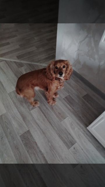 Видео2 смотреть онлайн