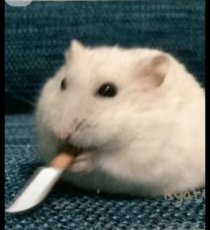 новости про меня