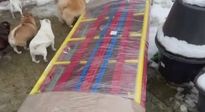 Привезли нам леса, оказались массивнее чем я думала.