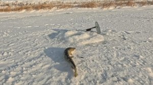 Рыбалка на щуку 2026 год