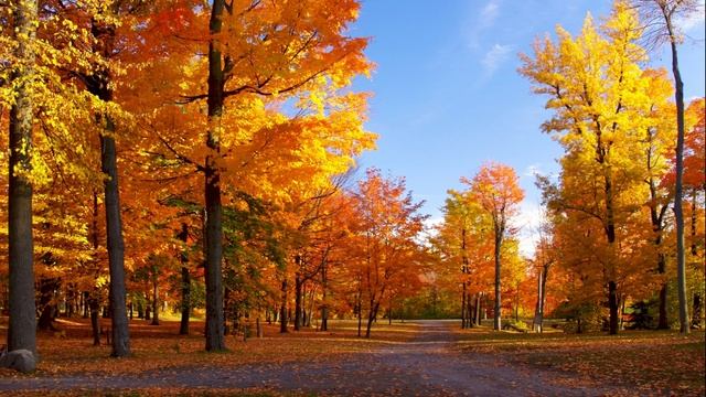 Велик наш Господь и наш Бог.. (зыка) смотреть онлайн
