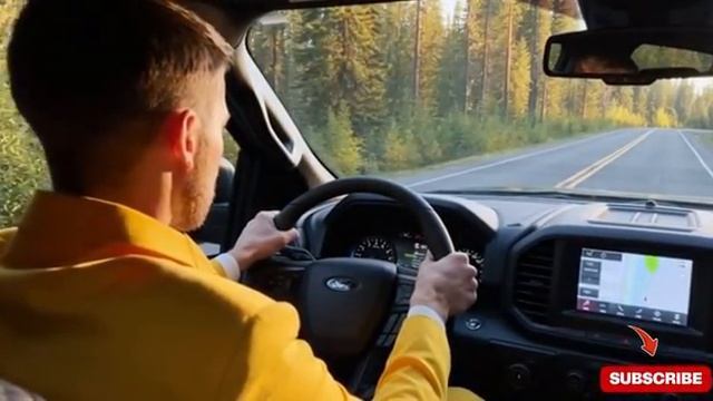 Спасение раненой матери-медведицы и её детёныша. Эмоциональная история спасения диких животных смотреть онлайн