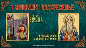 Неделя о мытаре и фарисее. Прп. Макария Великого. 1 февраля 2026 г.