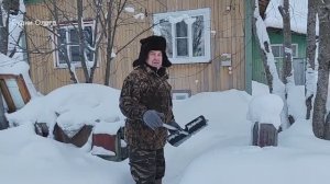 ПРОДАЛ ШКУРУ КУНИЦЫ ПО ХОРОШЕЙ ЦЕНЕ. ЛОСИ ПРИШЛИ К СЕЛУ, ХОДЯТ КАК ДОМАШНИЕ. 15.01.26