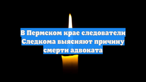 В Пермском крае следователи Следкома выясняют причину смерти адвоката