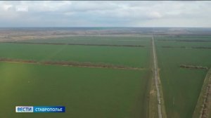 «Вести. Ставропольский край» 16.01.2026 (11.30)