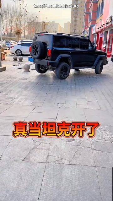 Tank 300 всё-же клиренс маловат 😁#автоизкитая #tank300 #auto #offroad смотреть онлайн