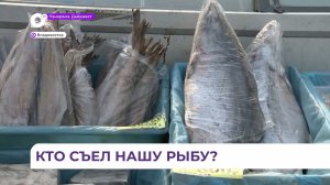 Ассортимент приморской рыбы на рынках Владивостока можно пересчитать по пальцам