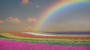 Краски радуги... - Наталья Давыдова (Муз. А.Тюрин Сл.О.Ахметова)