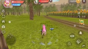 Выполняю квест на гепарде🐆