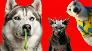 Я ПРОИГРАЛ...