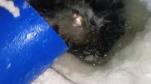 запуск 16.01.26