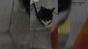 Доброе утречко! Желаю хорошего дня в пятницу ! #доброеутро