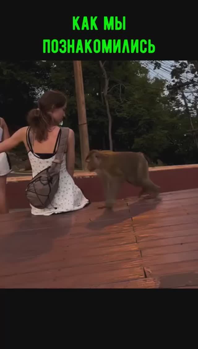 Как мы познакомились смотреть онлайн