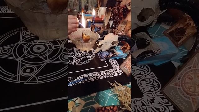 ЧИСТКА ОТ МОРОКА. смотреть онлайн