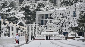 Такого снегопада в Геленджике не было уже несколько лет. Похожая погода была в 2012 году.