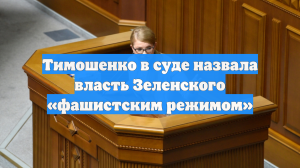 Тимошенко: режим Зеленского является фашистским