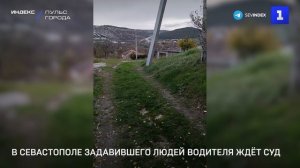 В Севастополе задавившего людей водителя ждёт суд