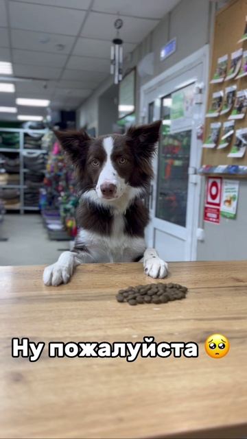 Камушки не принимаем