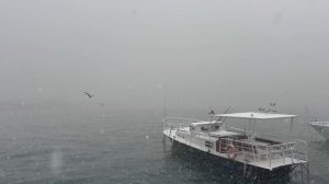 Зимняя сказка .Ялта набережная