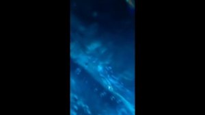 Фрагмент книги 2