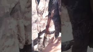 костюм ДЛЯ 🏹 ОХОТЫ 🦆🦢 прикупил.