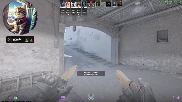 Faceit WW смотреть онлайн