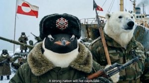 Республика Демократических пингвинов - Гренландия Democratic Penguins Republic - Greenland
