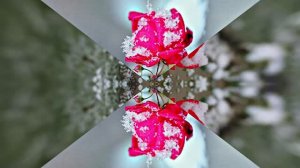 С Днём Рождения!!! Зимняя сказка для Единственной 5 от Киностудии Мудрого Кота Тимофея!