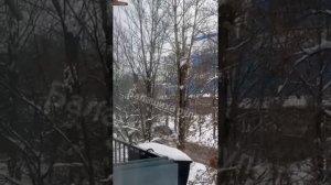 Водитель Porsche, по которому открыли стрельбу в подмосковной Балашихе, не реагировал на законные...