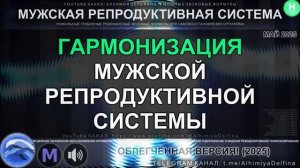 МУЖСКОЕ ЗДОРОВЬЕ НА 100 %*Оптимизация Мужской Репродуктивной Системы*САБЛИМИНАЛ