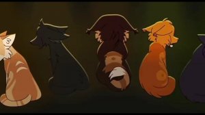 коты ваители