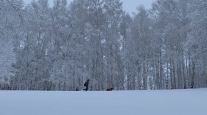 Гора Проходная (Алтайский край, Россия 01.01.2021)