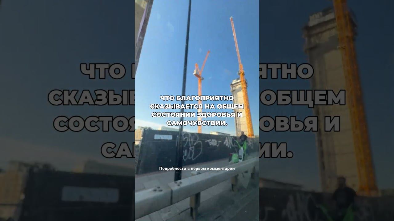 Что происходит с гормонами когда бросаешь пить #броситьпить #лечениеалкоголизма смотреть онлайн