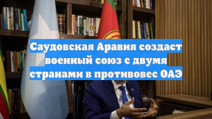 Саудовская Аравия создаст военный союз с двумя странами в противовес ОАЭ