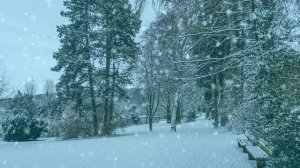 Футаж. Зимний пейзаж 149