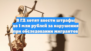 В Госдуме хотят ввести штрафы за нарушения при обследовании мигрантов
