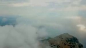 Узники Парка Земля Мы в загоне .