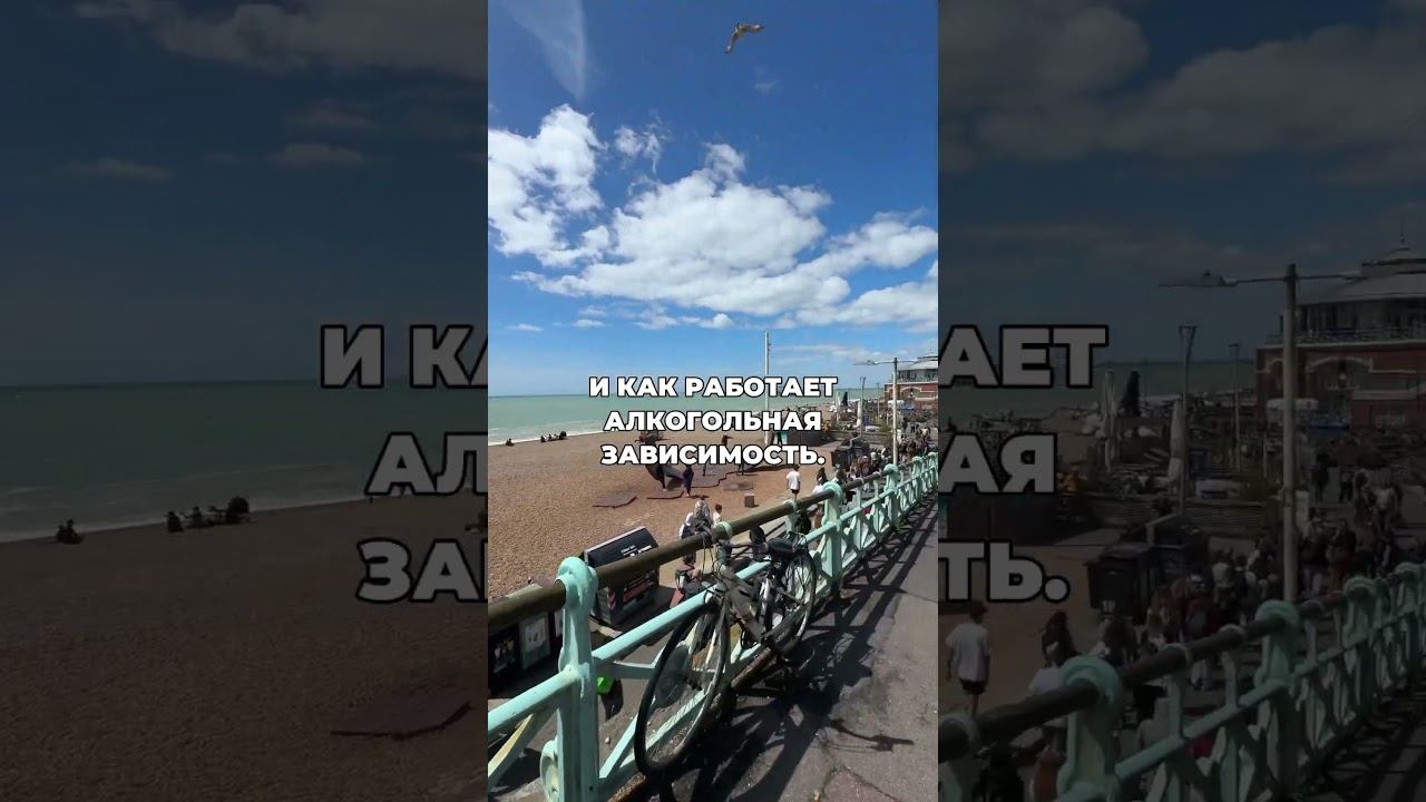 Лучший фильм про алкоголизм #броситьпить #лечениеалкоголизма #какброситьпить смотреть онлайн