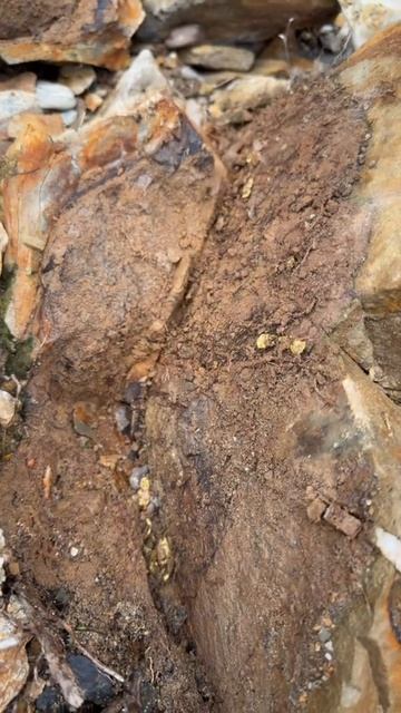 Поиск золота смотреть онлайн