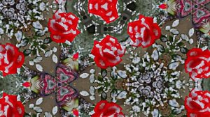 С Днём Рождения!!! Зимняя сказка для Единственной 3 от Киностудии Мудрого Кота Тимофея!