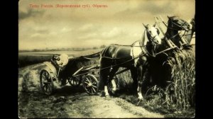 Живой Воронеж через года и века