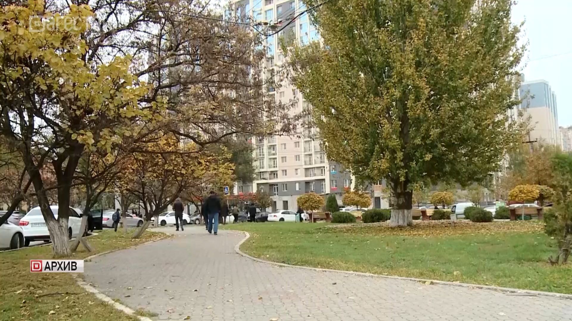 На Госуслугах открыли реестр неплательщиков алиментов смотреть онлайн