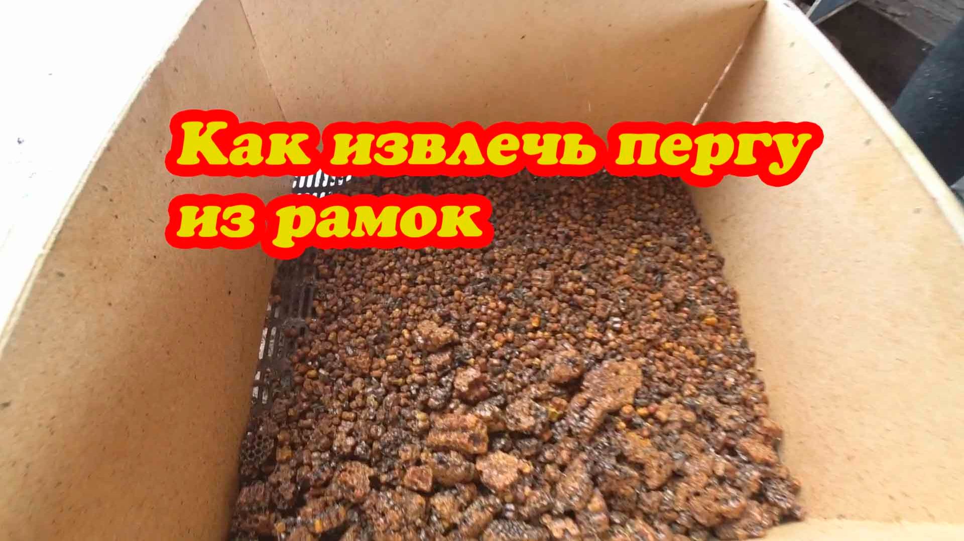 КАК ВЫБИТЬ ИЗ ПРОМОРОЖЕННЫХ СОТ ПЕРГУ В ДОМАШНИХ УСЛОВИЯХ. смотреть онлайн