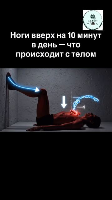 ДЛЯ ЧЕГО НУЖНО РАЗ В ДЕНЬ ЛЕЖАТЬ С ПОДНЯТЫМИ НОГАМИ ВВЕРХ 10 МИНУТ смотреть онлайн