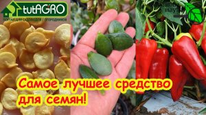 Торпеда для СЕМЯН СВОИМИ РУКАМИ: взрыв прорастания! Как разбудить любые семена? Активатор всхожести!