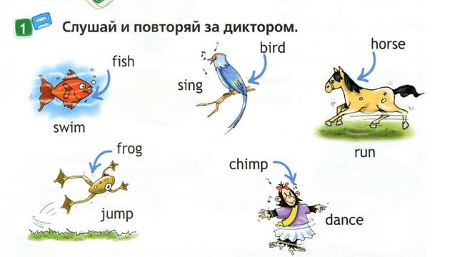 Spotlight 2 Аудио стр. 8  / My animals смотреть онлайн